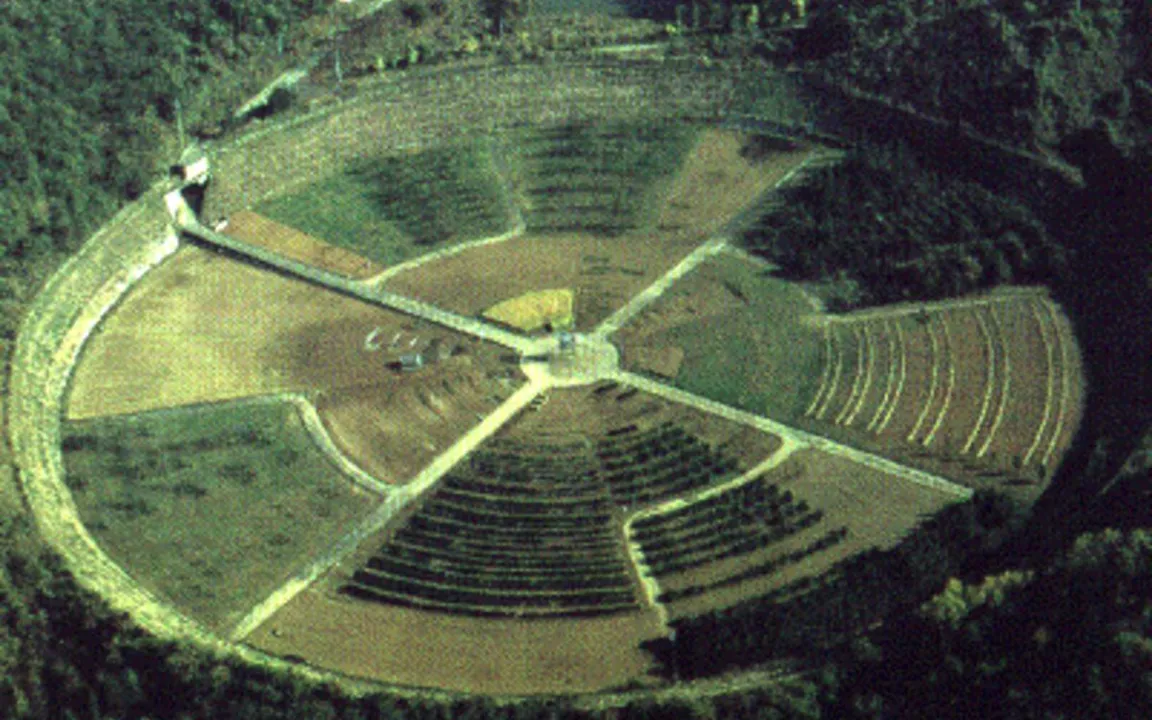 Neue Züchtungstechniken fallen nicht unters Gentechnikgesetz