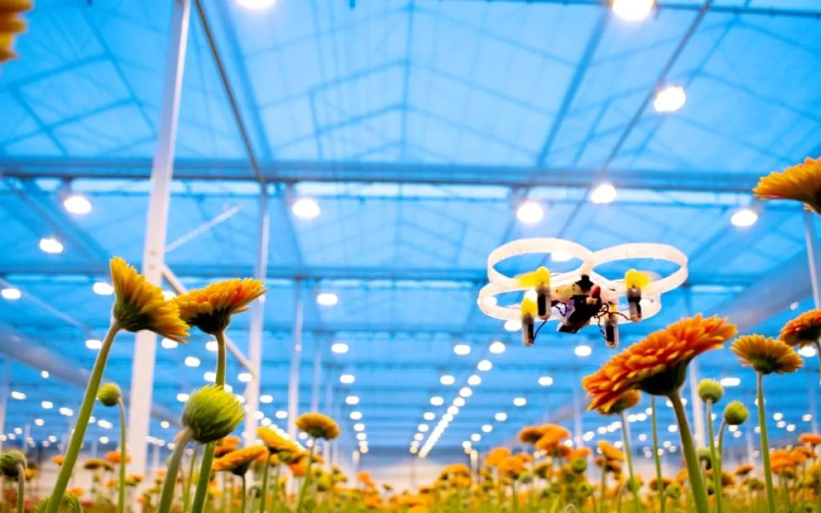 Minidrohnen im Gewächshaus