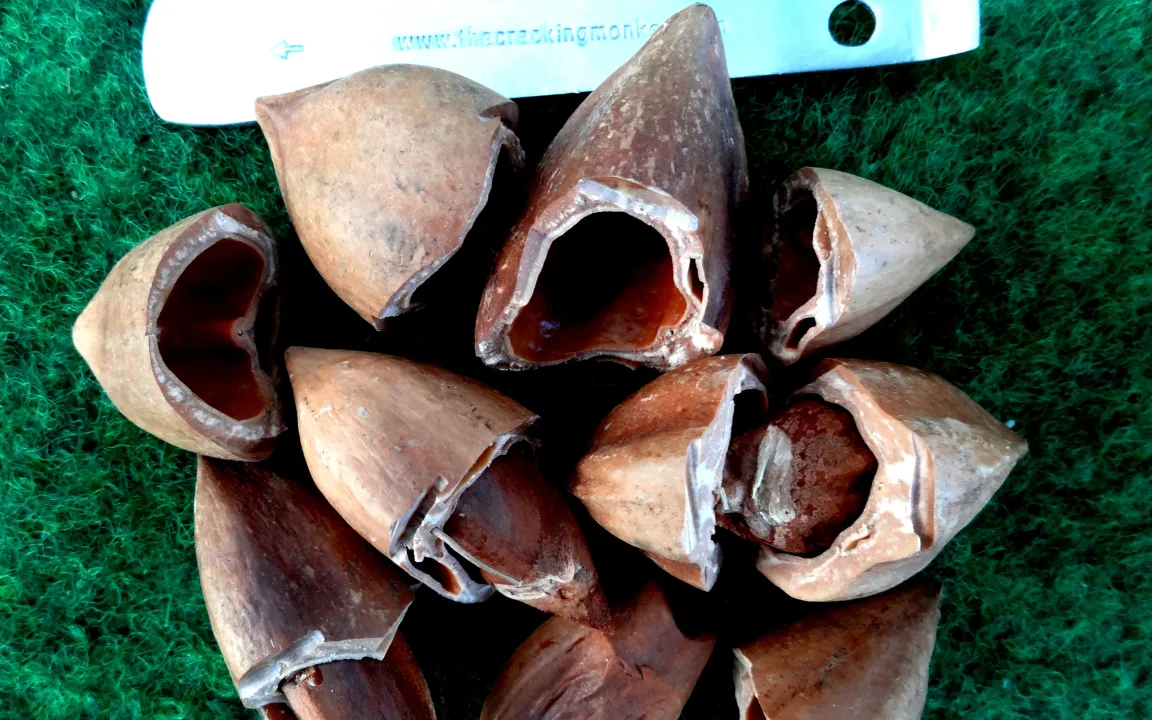 25 Jahre FRUIT LOGISTICA