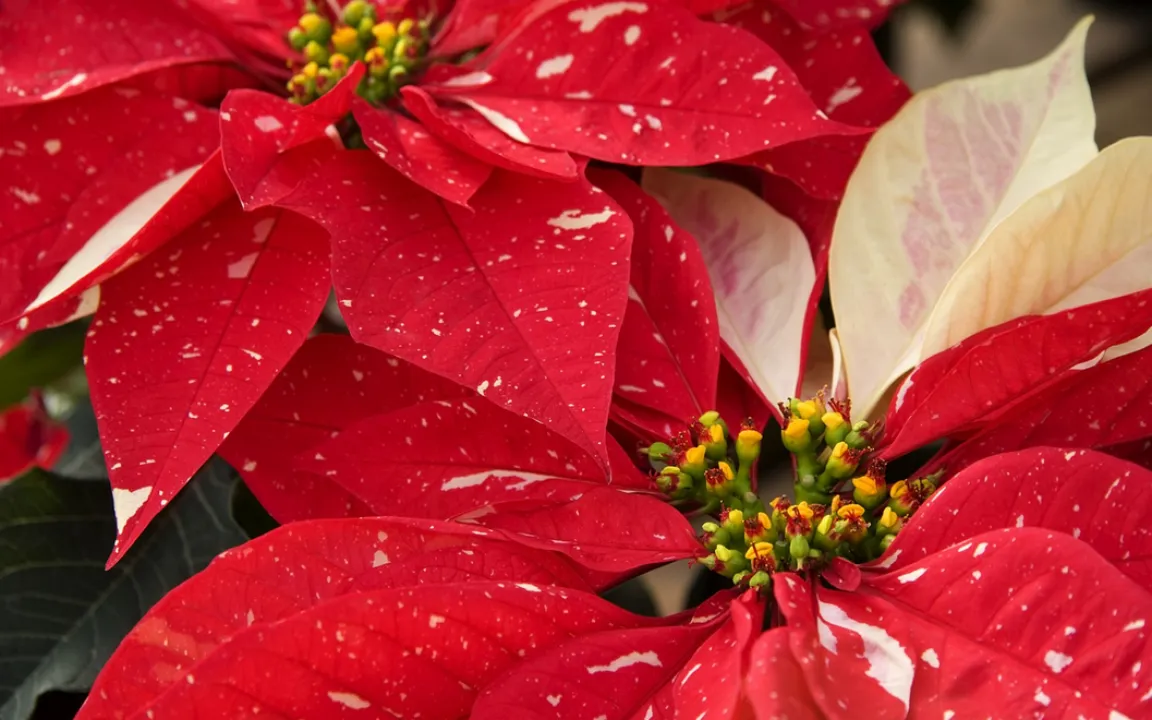Anspruchsvolle Arbeit für den Fachmann