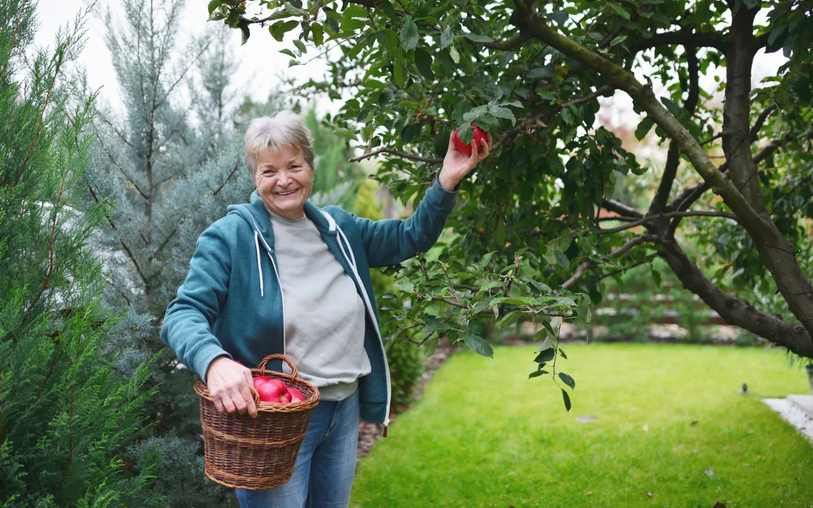 Buchtipp: Mein Obstgarten, wie er mir gefällt
