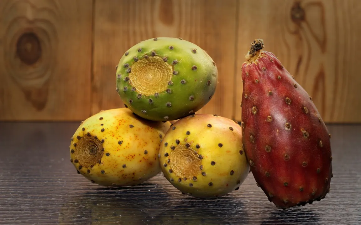 Kaktusfeigen: Vor dem Genuss steht die Vorsicht