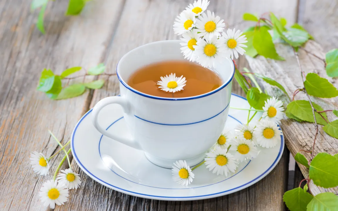 Gänseblümchen ist "Heilpflanze des Jahres 2017"