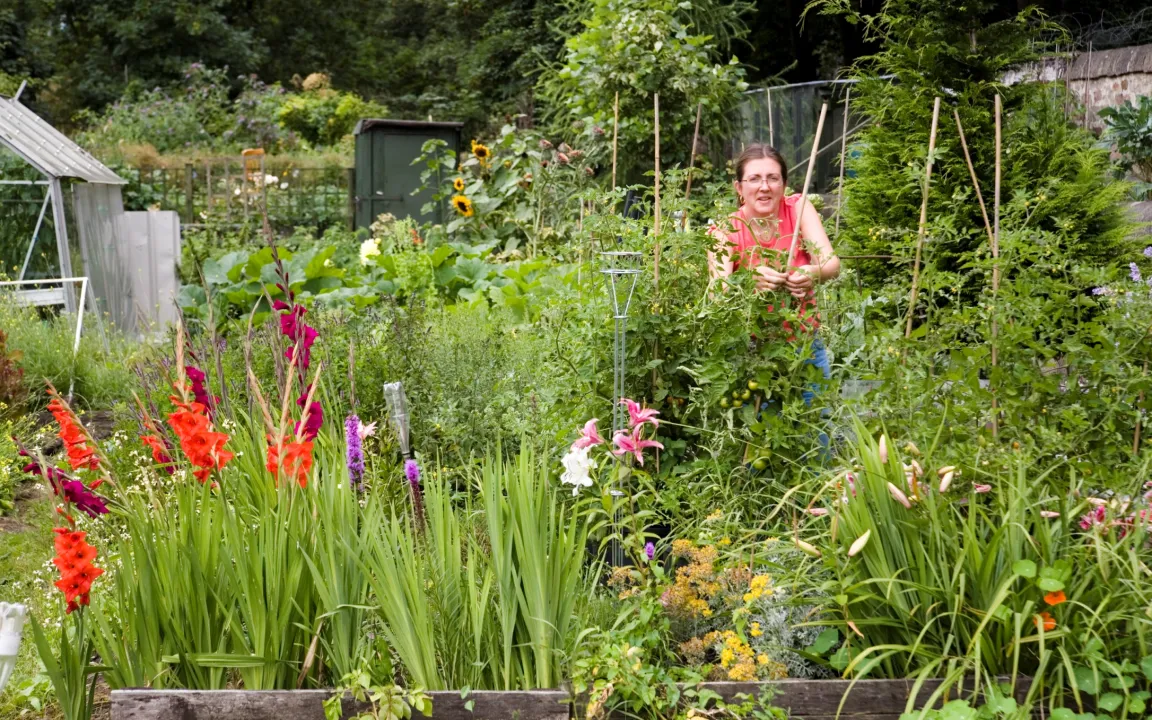 Gesunde Pflanzen im Wochenendgarten