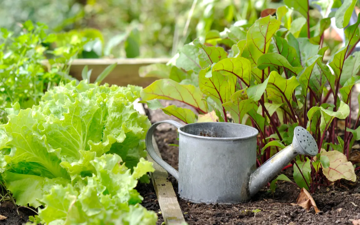 Boden des Jahres 2017: Der Gartenboden