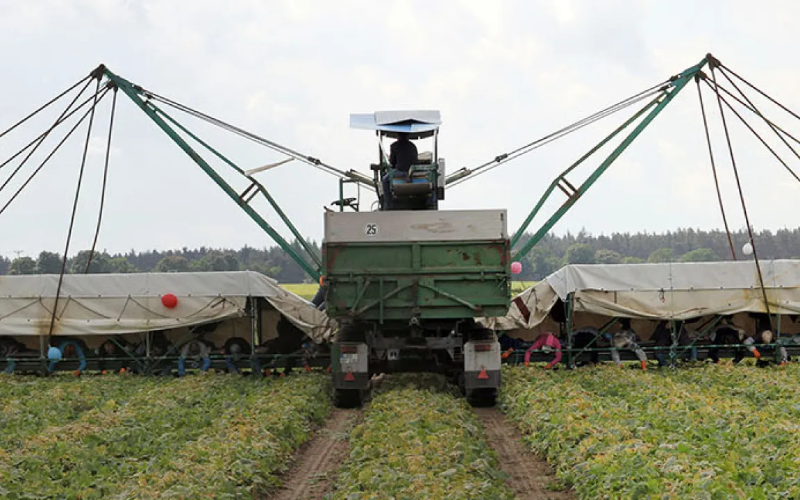 Die digitale Gurkentruppe