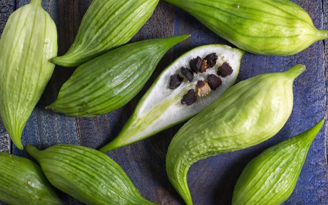 Der Hörnchenkürbis aus den Anden