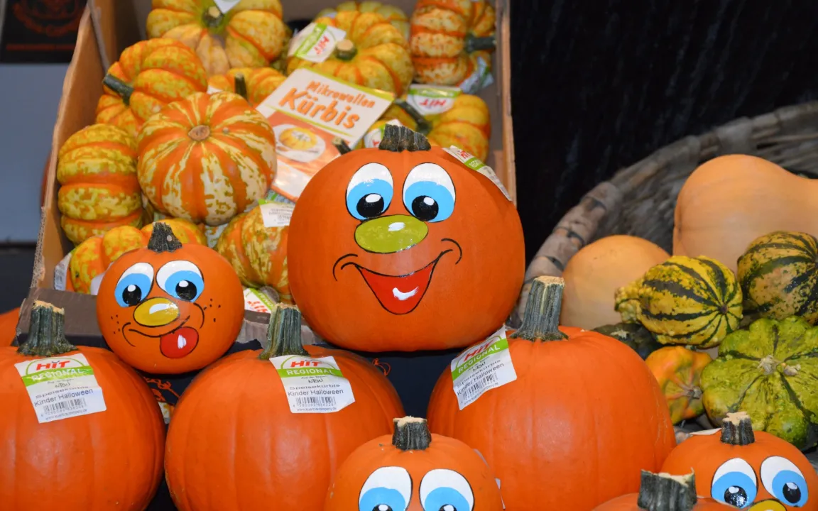 Kürbis: Klopfprobe verrät Reife