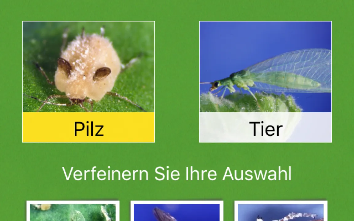 Die nützliche Nützlinge-App