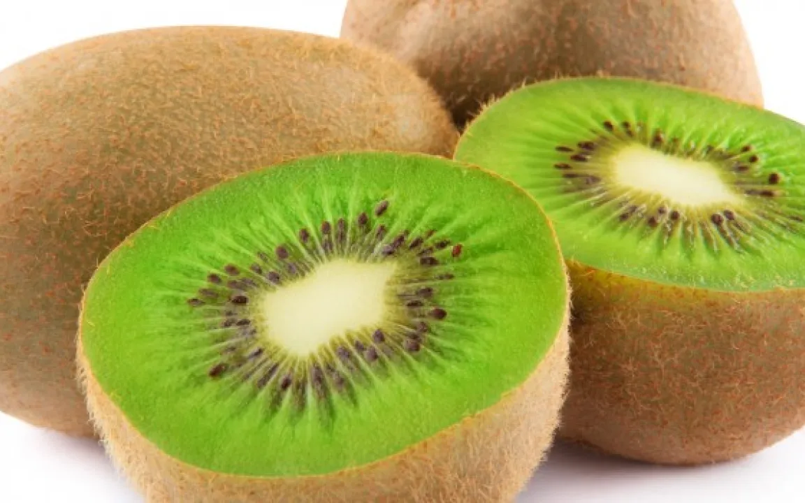 Die Kiwi – das doppelte Genom macht vieles möglich 