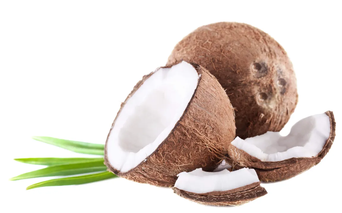 Kokosnuss: Ein Hauch von Exotik