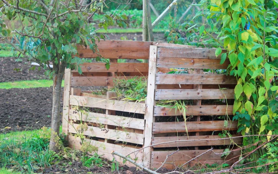 Pflanzenhygiene beim Räumen der Beete