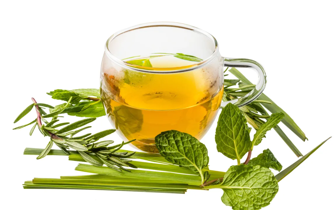 Weniger Pyrrolizidinalkaloide in Arzneipflanzen