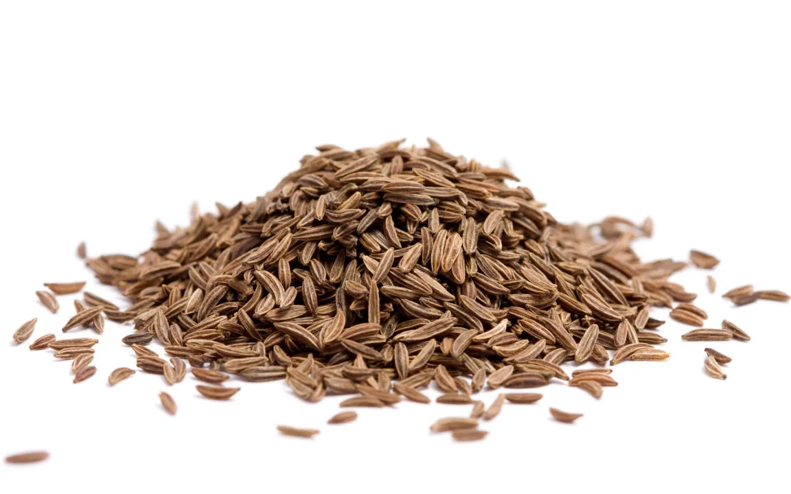 Echter Kümmel: Alleskönner unter den Gewürzkräutern