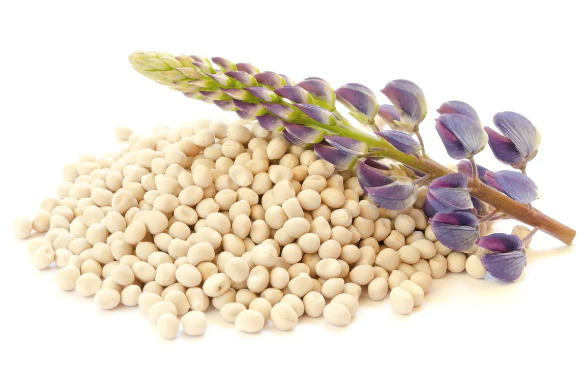 Joghurt aus Pflanzen