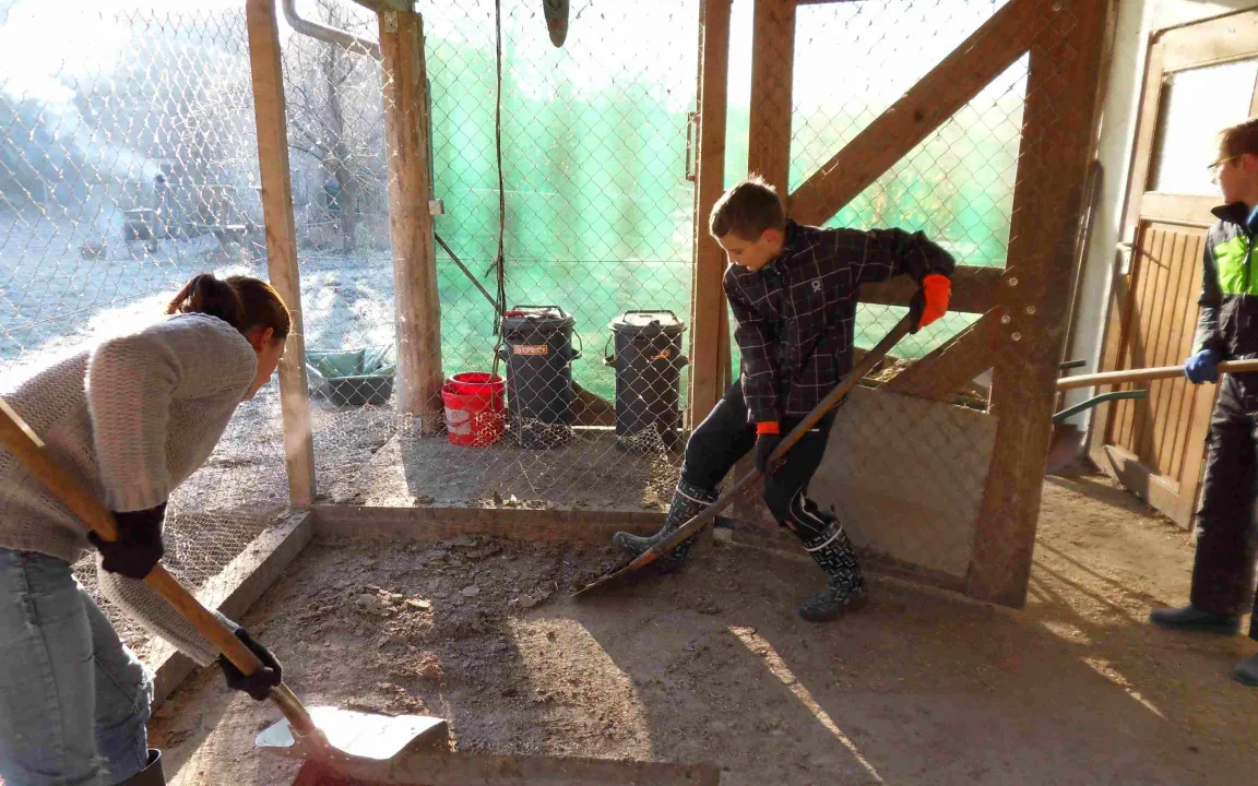 Lernort: Schulbauernhof