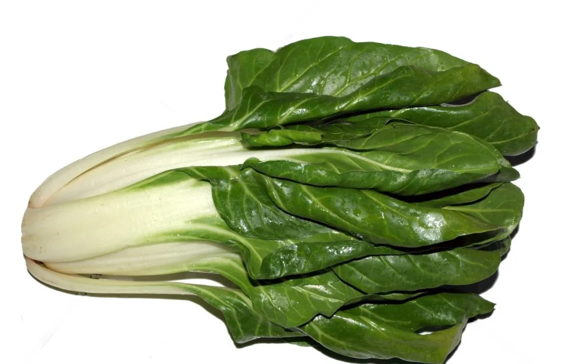 Mangold: Mehr als ein Spinat-Ersatz im Sommer