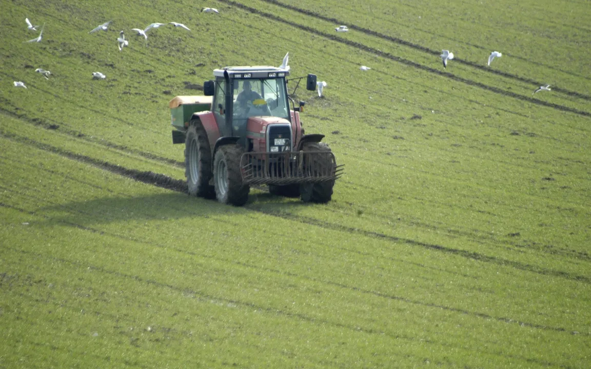 Der erste Dünger: Starthilfe fürs Getreide