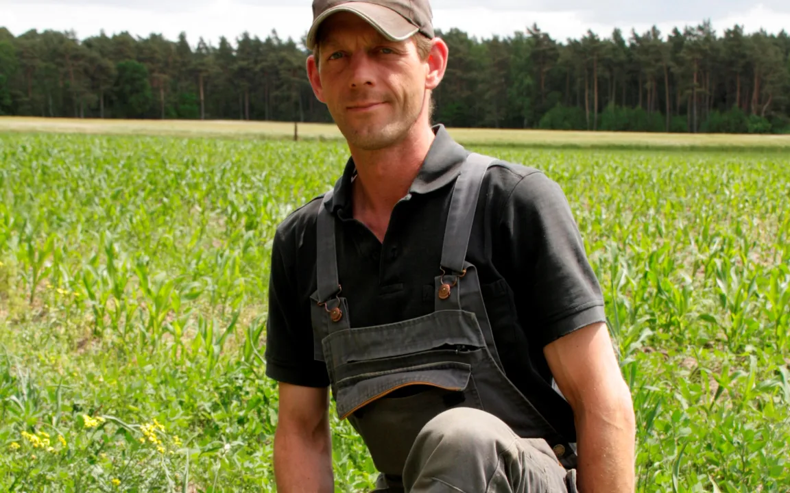 "Der Acker ist schön grün – aber nicht mit der Kulturpflanze!"