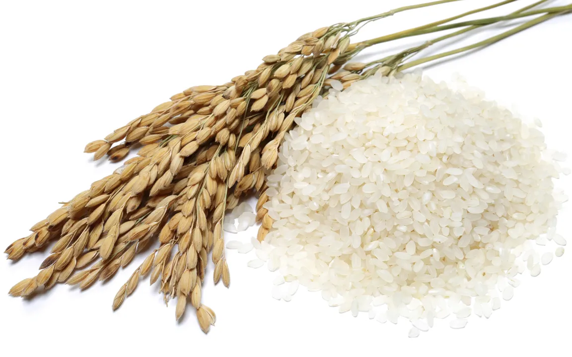 gv-Reis mit höherem Eisen- und Zinkgehalt  