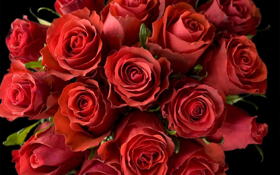 Valentinstag, der Tag der Liebenden