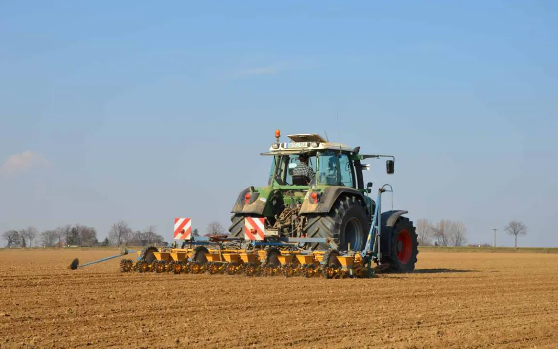 Erste Zuckerrübenaussaat ohne Blattlausschutz