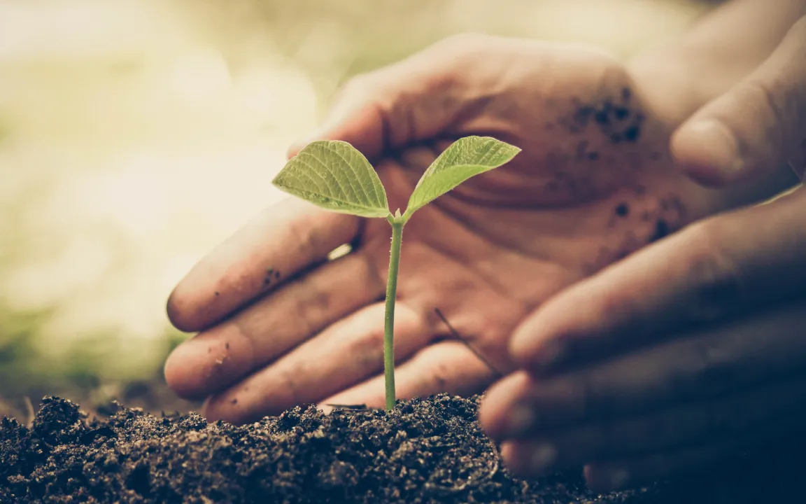 Pflanzenschutz: Fakten oder Emotionen?