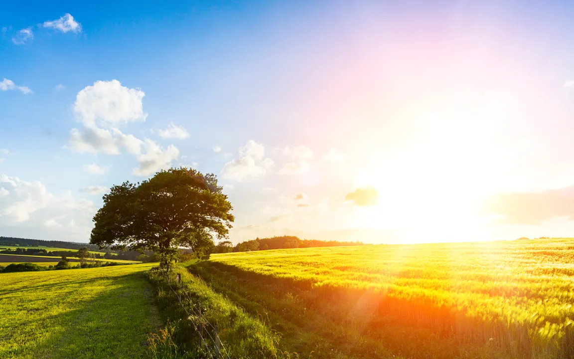 Der Siebenschläfertag: Legende oder Wirklichkeit?