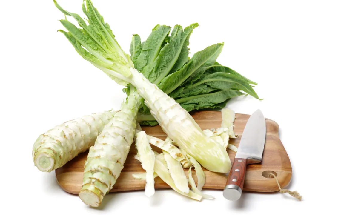 Der Spargelsalat – Bereicherung für den Gemüsegarten