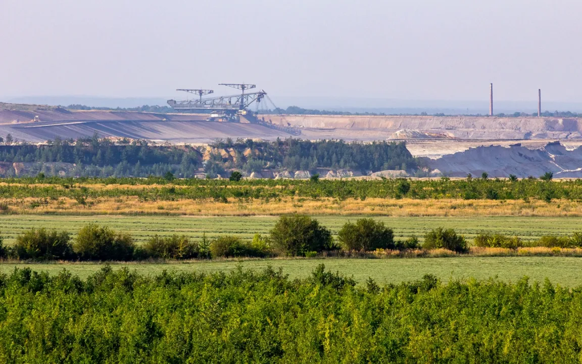 Boden des Jahres 2019: Der Kippenboden
