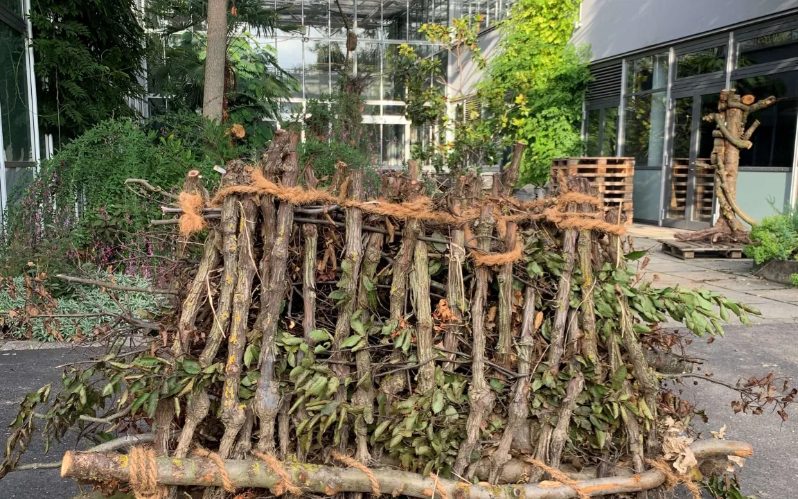 Schulprojekt Biodiversität