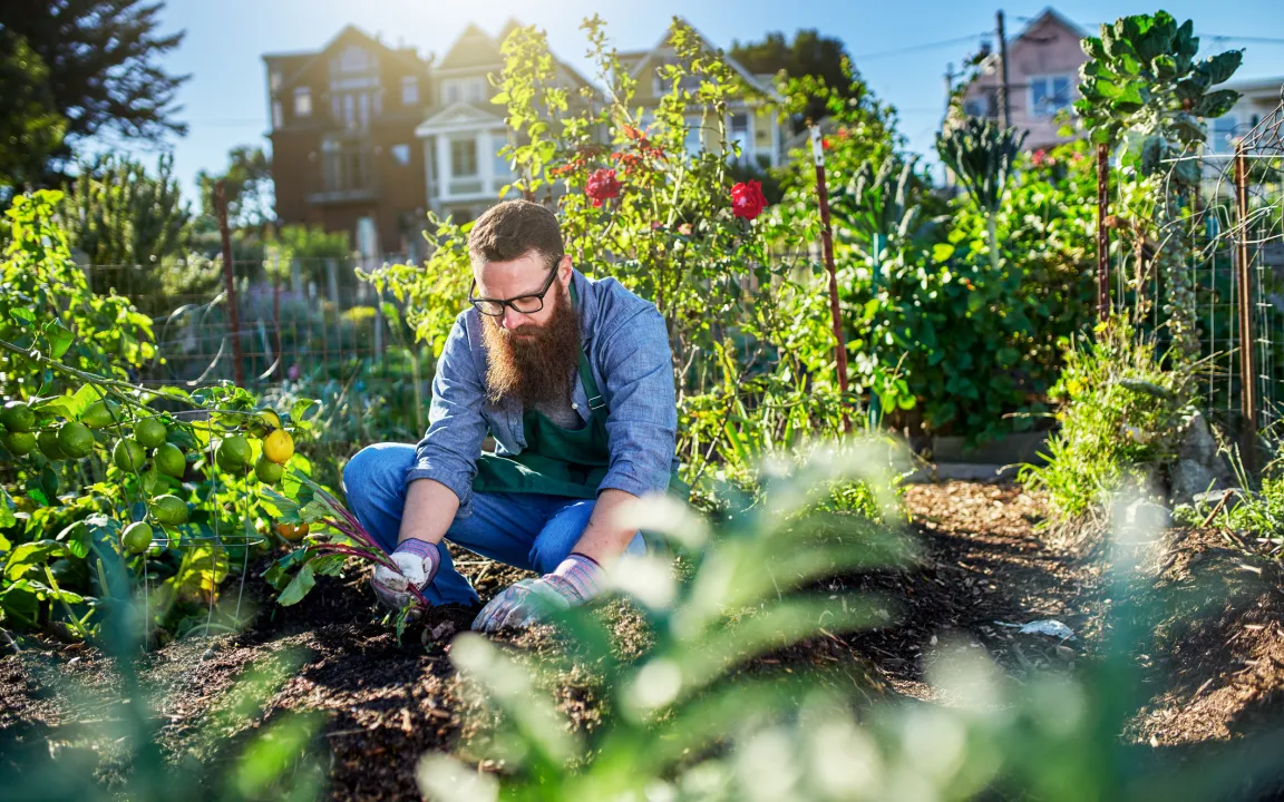 Offene Gartenpforten am 11. Juni 