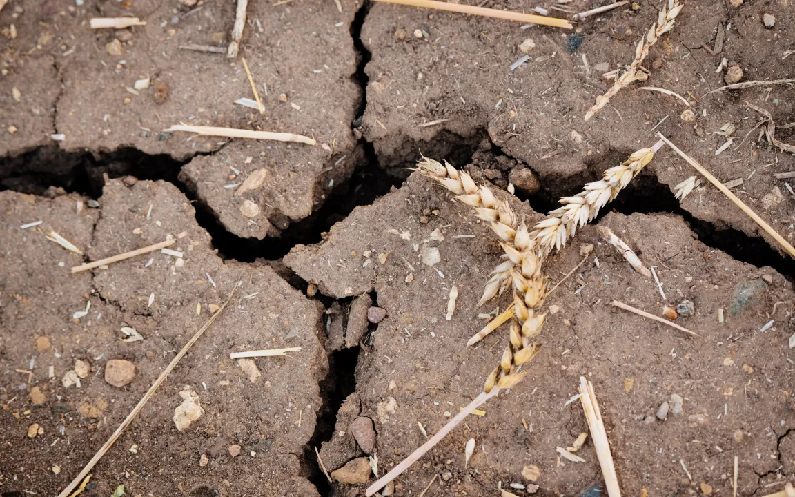 inKA – Gebündelte Forschung