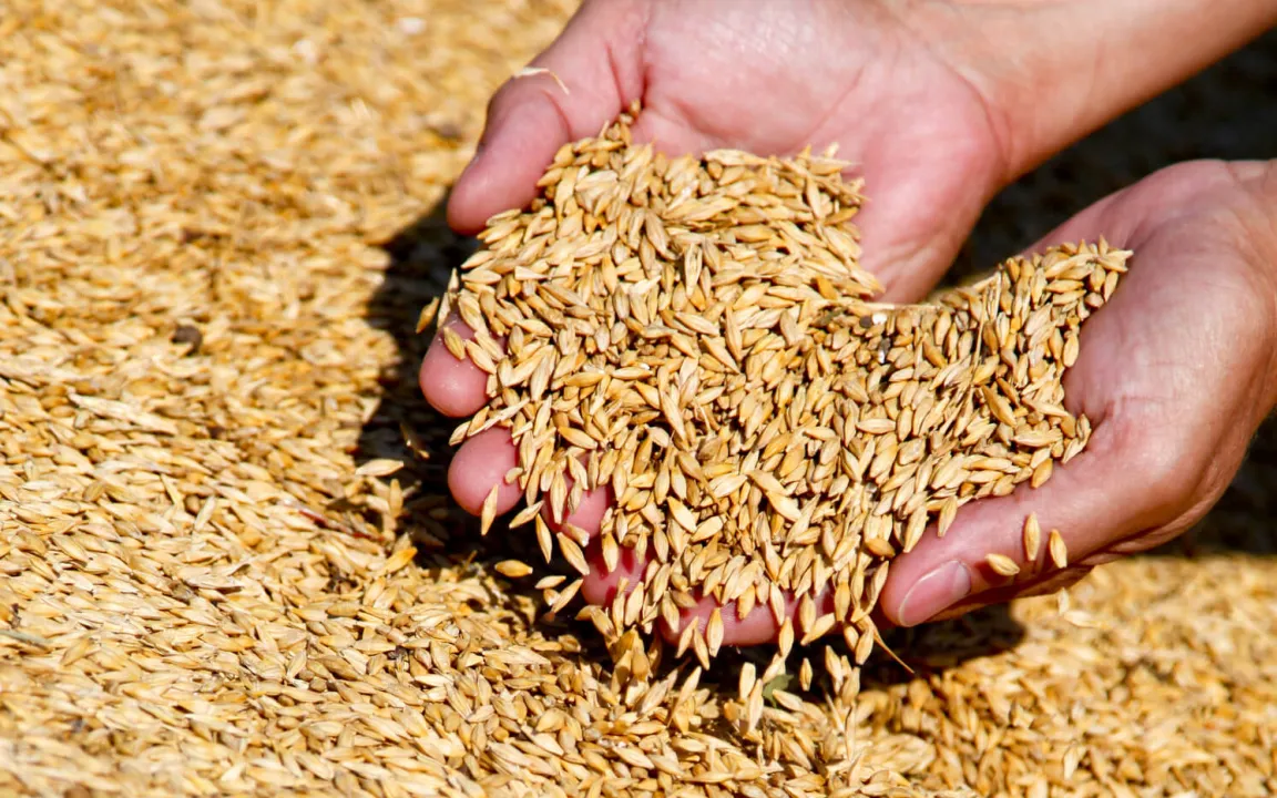 Welternährungstag am 16. Oktober 