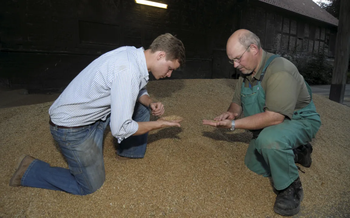 Hygienische und verlustfreie Getreidelagerung wird schwieriger