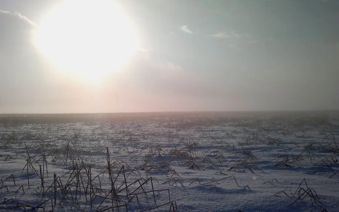 Ruhe auf dem Acker, Zeit für das Betriebsbüro