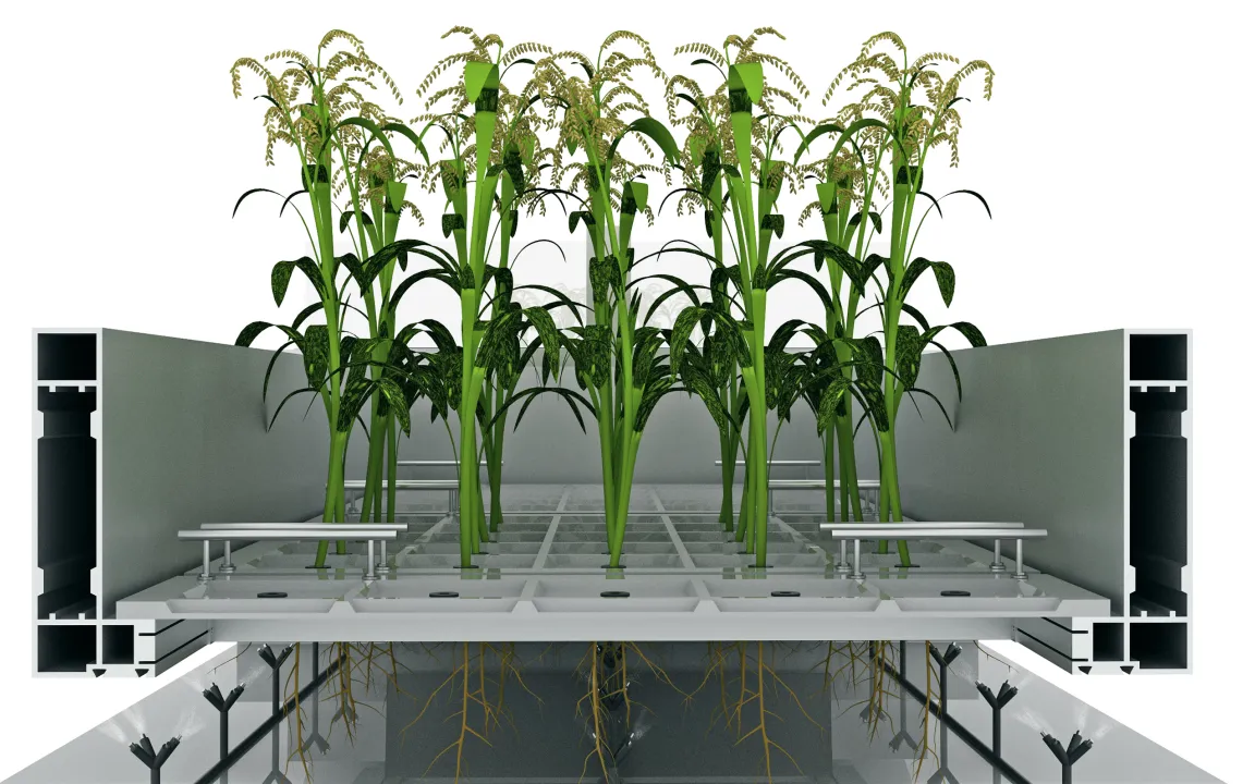 Skyfarming – Ertragreiche und sichere Ernten auf vielen Ebenen