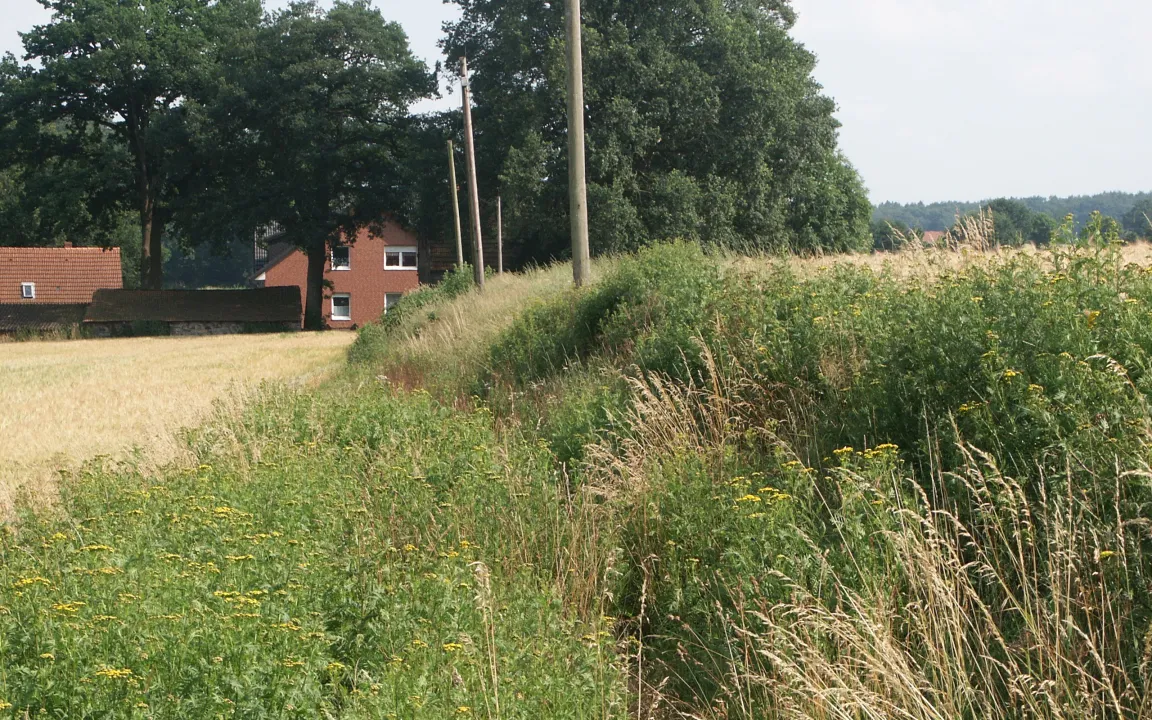 Boden des Jahres 2013: Der Plaggenesch