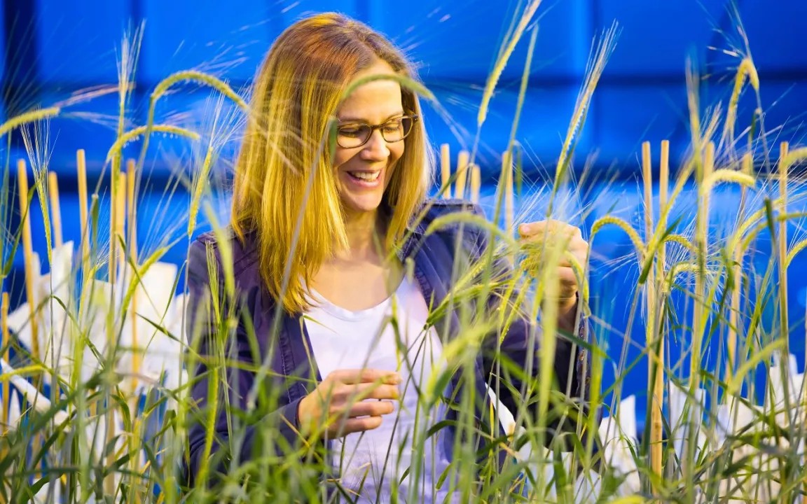 Sensoren erkennen Stress bei Pflanzen