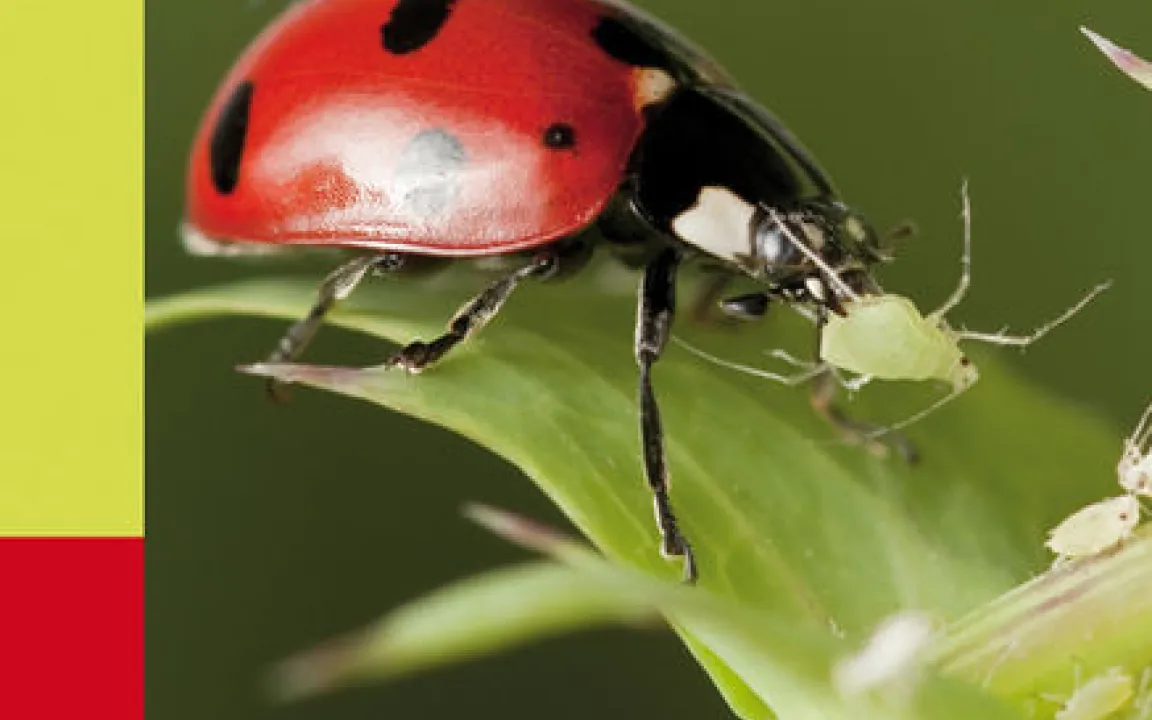 Aus die Laus – 160 Krankheiten und Schädlinge im Nutzgarten