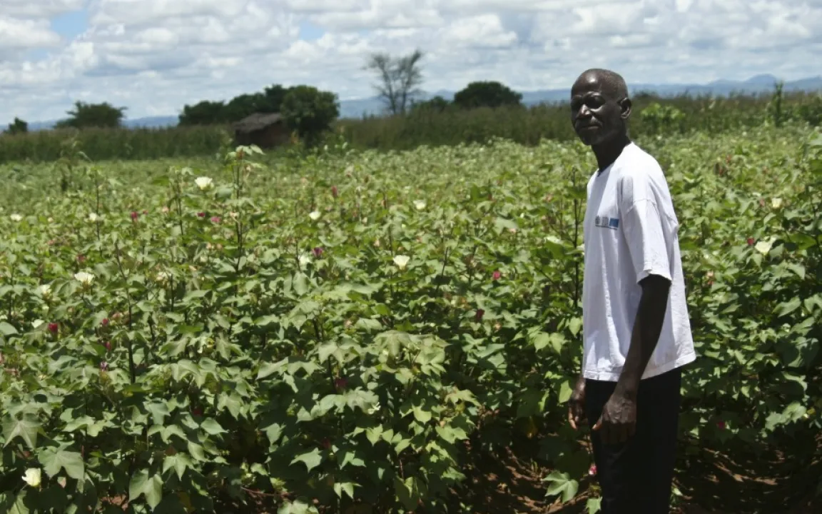 "Gerade Bauern in Entwicklungsländern profitieren von Gentechnik"