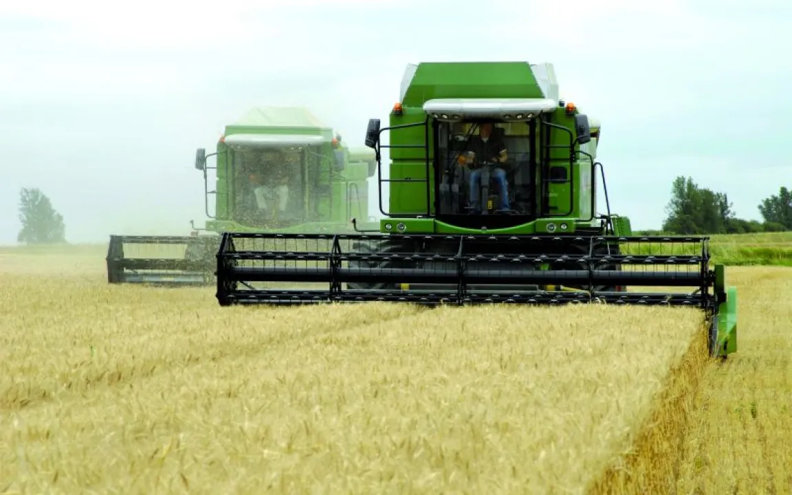 Die ersten Bauern waren klein und kränklich