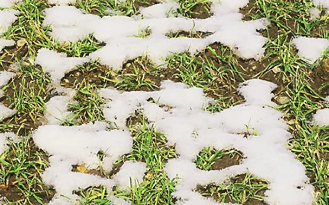 Januar muss vor Kälte knacken ... 