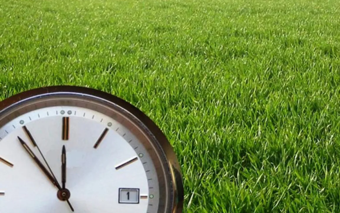 Die biologische Uhr des Getreides 