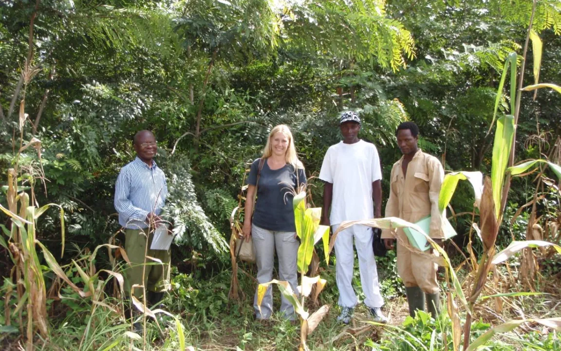 Ghana: Erfolgsmodell Mixed Intercropping