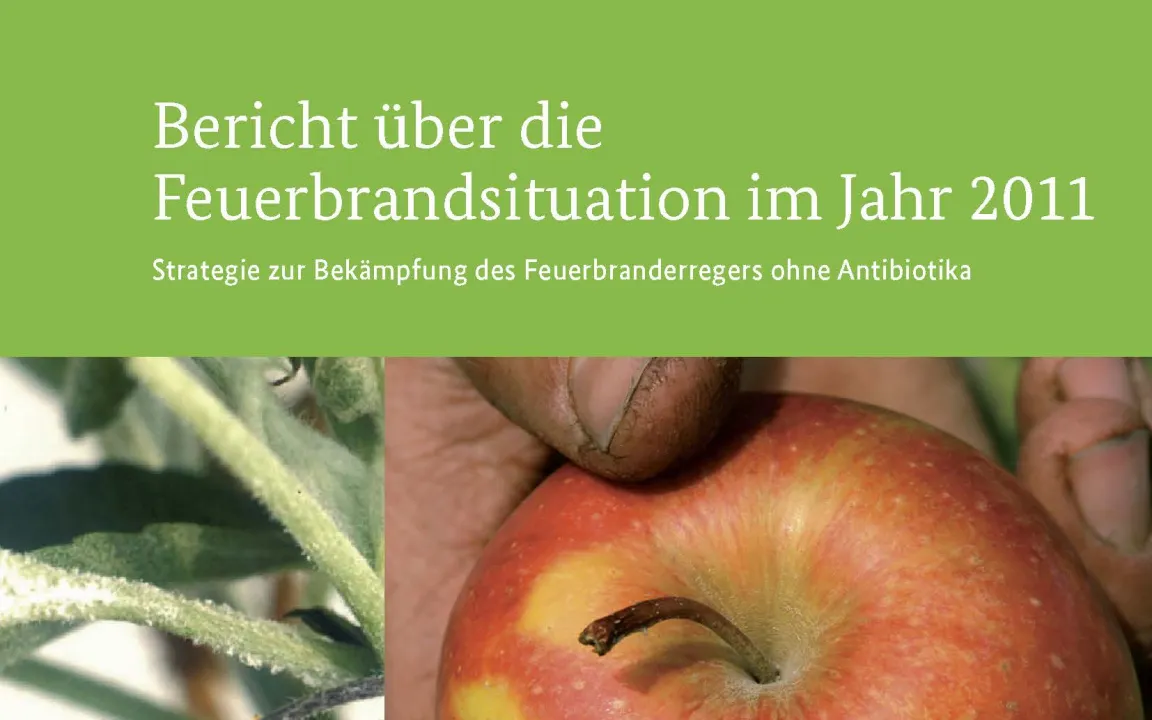 Feuerbrandsituation im Jahr 2011