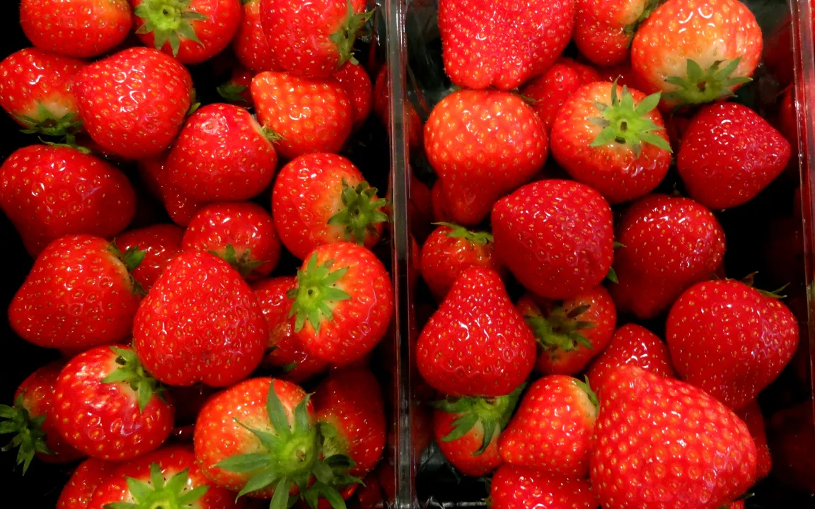 Bei Erdbeeren für einen guten Start sorgen