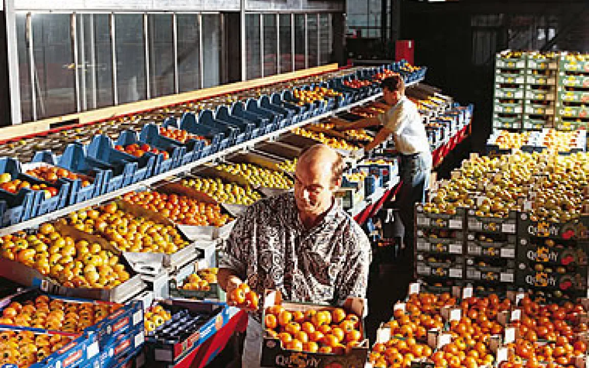 Lebensmittelhygiene - Obst, Gemüse und Getreide schnitten recht gut ab