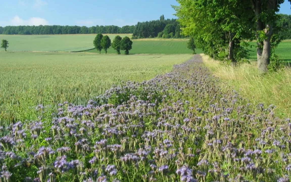 Artenschutz und moderne Landwirtschaft – in Deutschland geht das zusammen