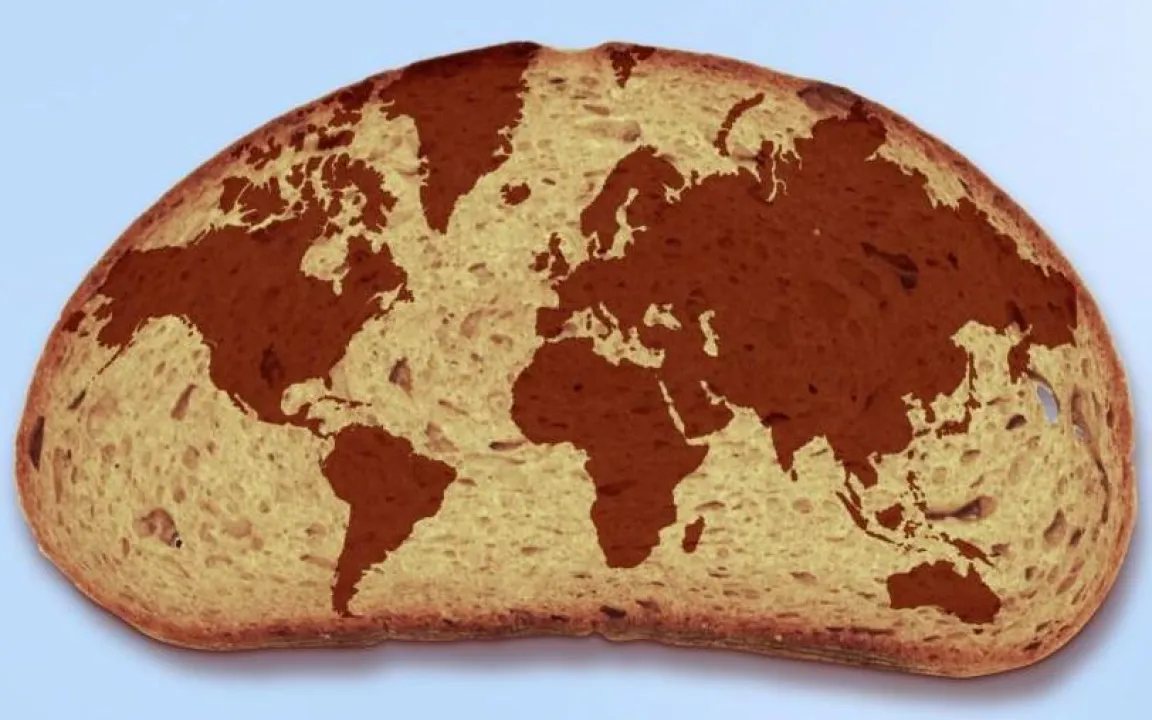 Am 16. Oktober ist Welternährungstag. Wie ist es um die Versorgung in Deutschland bestellt?